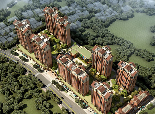 蓮花·水岸陽光