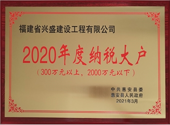 2020年興盛建工納稅大戶